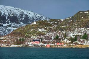 Red rorbu houses in Norway in winter photo