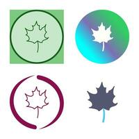 Autumn Leaf Vector Icon