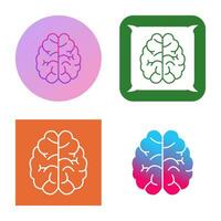 Brain Vector Icon