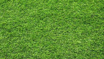 a close up of a green grass field photo