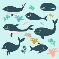 Whale and fish vector