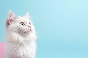 AI Generated Cat on Pastel Background photo