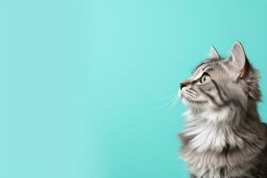 AI Generated Cat on Pastel Background photo