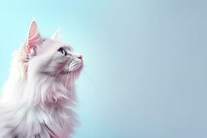 AI Generated Cat on Pastel Background photo