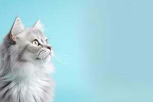 AI Generated Cat on Pastel Background photo