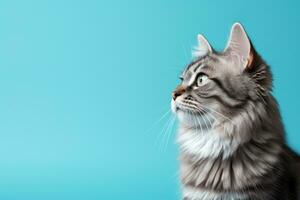 AI Generated Cat on Pastel Background photo