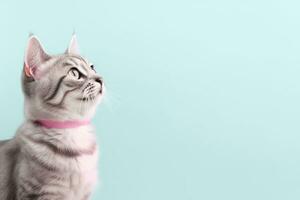 AI Generated Cat on Pastel Background photo