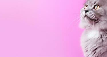 AI Generated Cat on Pastel Background photo