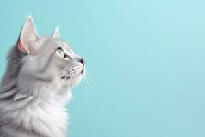 AI Generated Cat on Pastel Background photo