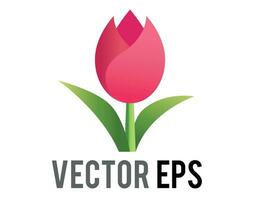 Vector pink tulip flower icon with green stem and leaves