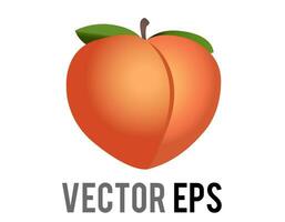 Vector fleshy, pinkish orange fruit of fuzzy peach icon with green leaves and stem