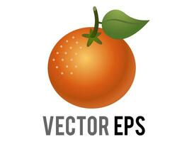 vector agrios Fruta naranja, Mandarina, mandarín con un verde hoja, vástago icono