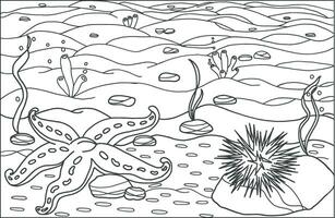 un estrella de mar con mar pilluelo. colorante página, mano dibujado para relajación y estrés alivio. colorante libro para adultos y niño con garabatos, zentangle diseño elementos. vector