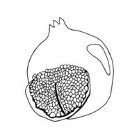 Illustration of a pomegranate fruit drawn with a black pen. In a flat style. vector