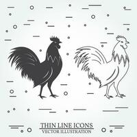 Set of rooster silhouette and thin line icons. vector