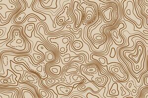 Seamless pattern topographic map background. Vector illustration.