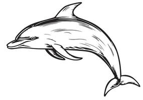 Dolphin hand drawn sketch Vector illustration