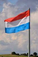 the flag of the netherlands photo