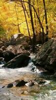 ontzagwekkend natuur odyssee betoverend landschap beeldmateriaal video