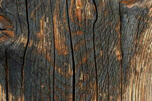 un cerca arriba de un madera tablón con un oscuro manchar foto