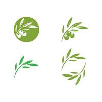 olive logo design vector