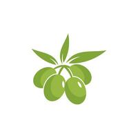 aceituna logo icono vector