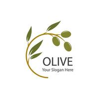 olive logo icon vector