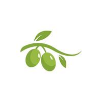 aceituna logo icono vector