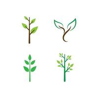 Tree logo icon vector