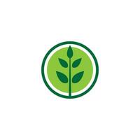 Tree logo icon vector