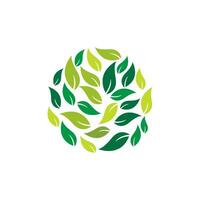 Green leaf logo icon vector