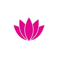 Lotus flowers illustration vector