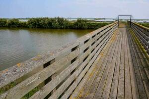 wooden bridge over a body of water photo