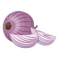 Red onion, whole and slices. Isolated vector illustration on a white background.