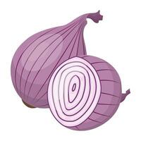 Red onion, whole and half. Isolated vector illustration on a white background