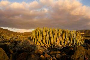 the landscape of the island of galapagos photo
