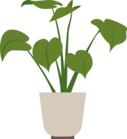 planta flor hojas maceta png