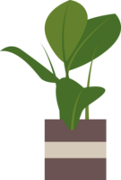 plant flower leaves pot png