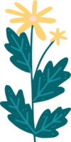 Pflanze Blume Blätter Topf png