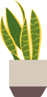 plant flower leaves pot png