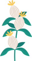 plante fleur feuilles pot png