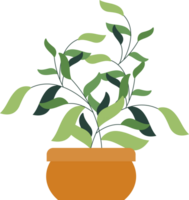 plant flower leaves pot png