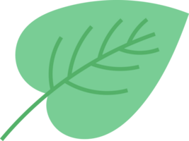 blad bloem geïsoleerd fabriek png