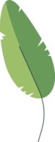 feuille fleur isolé plante png