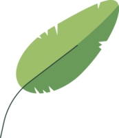 blad bloem geïsoleerd fabriek png