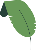 leaf flower isolated plant png