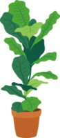 blad bloem geïsoleerd fabriek png