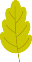 leaf flower isolated plant png