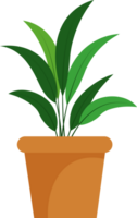 feuille fleur isolé plante png