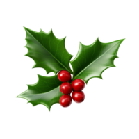 Christmas Holly Berry Ai Generative png